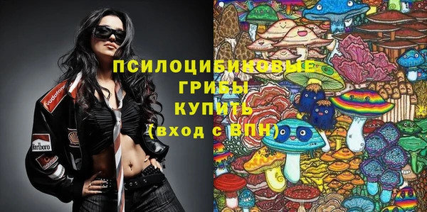 а пвп мука Аркадак