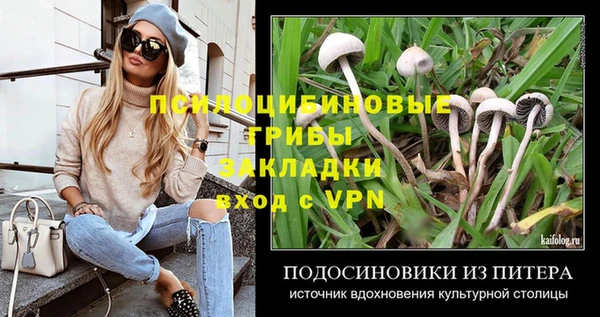 Альфа ПВП Балабаново