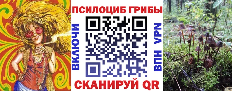 Псилоцибиновые грибы прущие грибы  Купить где  Элиста 